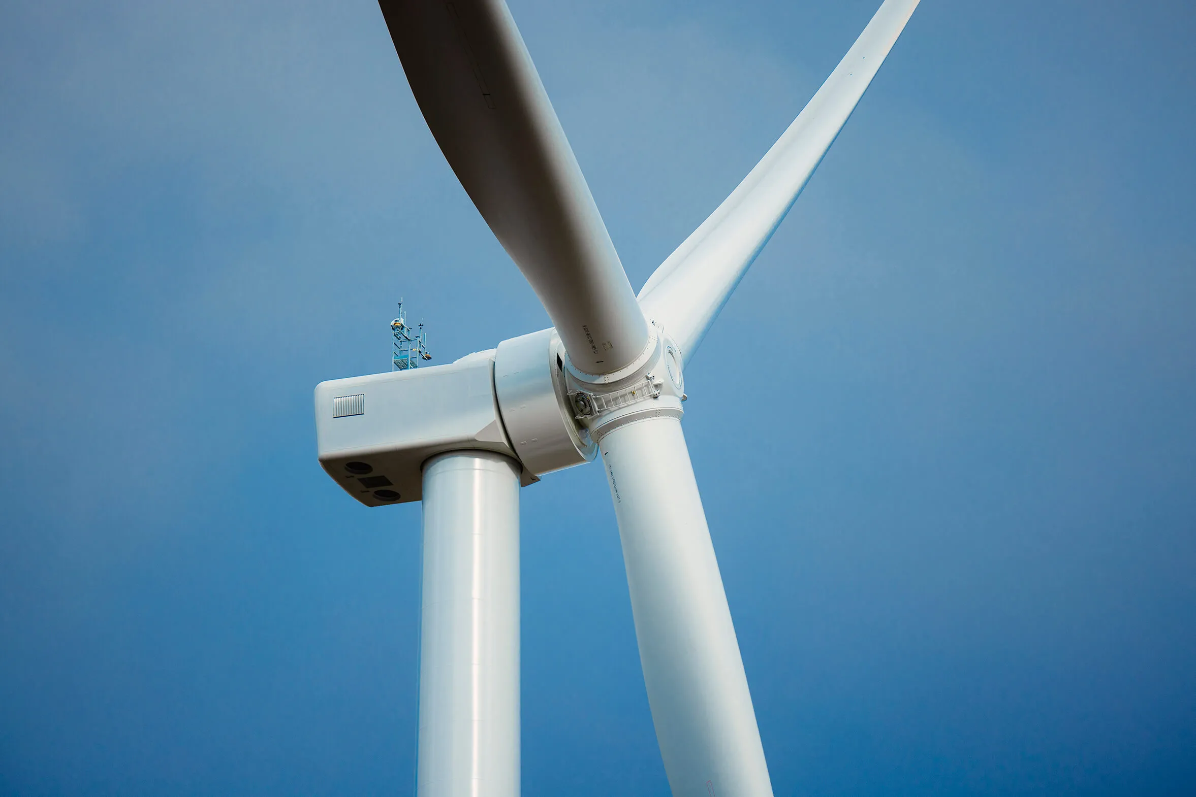 Executive Team Member